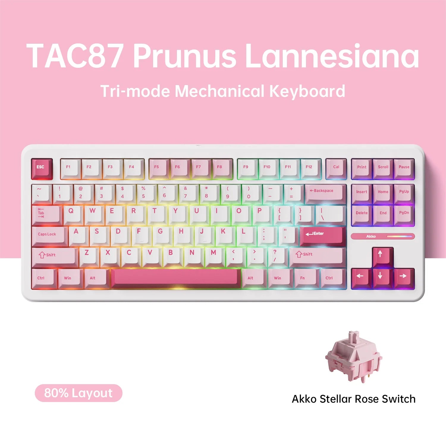 Akko TAC87 Mechanical Keyboard 80% TKL Hot-swap RGB 10000mAh USB Wired/2.4G&BT Wireless Customized Gaming Keyboard Gasket Mount