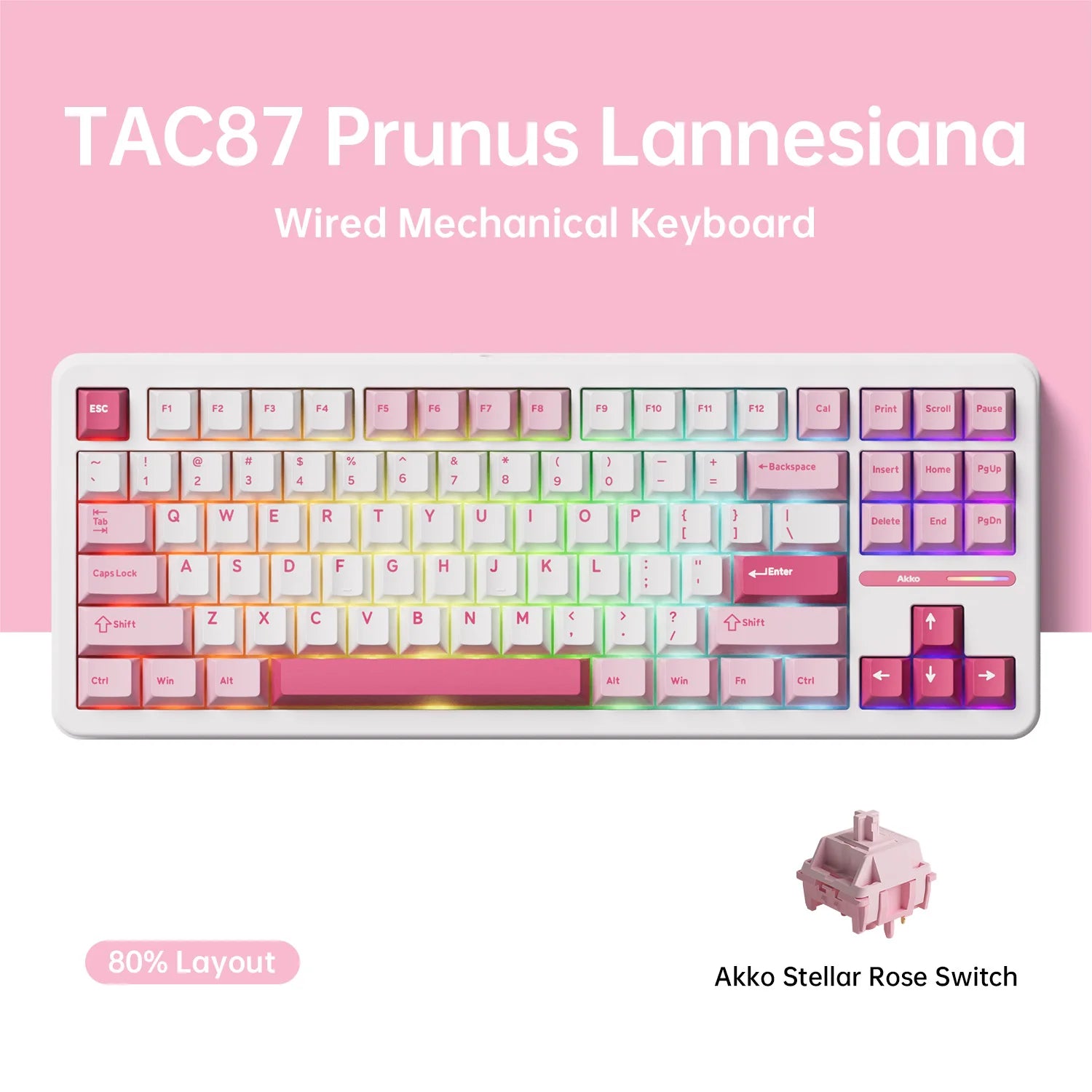 Akko TAC87 Mechanical Keyboard 80% TKL Hot-swap RGB 10000mAh USB Wired/2.4G&BT Wireless Customized Gaming Keyboard Gasket Mount